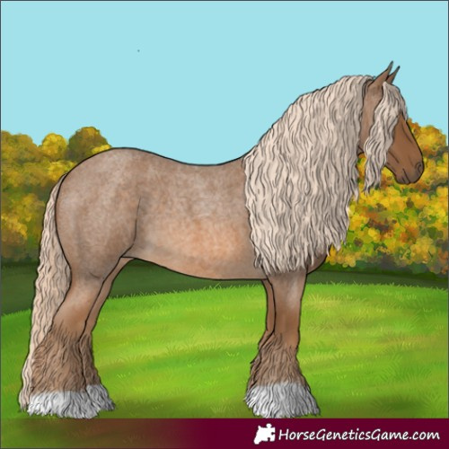 Horse Color:Chocolate Palomino Roan 
