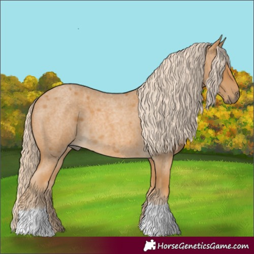 Horse Color:Palomino Roan 