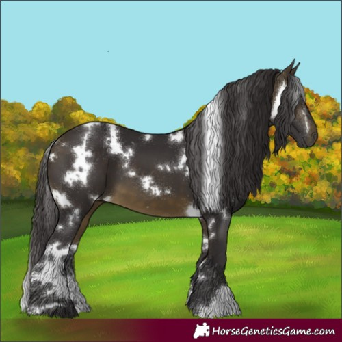 Horse Color:White Spotted Buckskin 