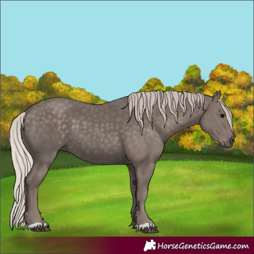 Horse Color:Silver Black 