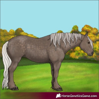 Horse Color:Silver Black 