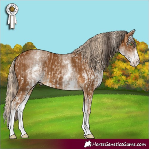 Horse Color:White Spotted Amber Champagne  and Gray White Spotted Palomino 