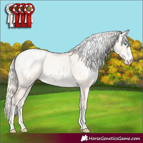 Horse Color:White Spotted Gold Cream Champagne Pearl Dun Appaloosa 