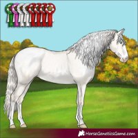 Horse Color:White Spotted Gold Cream Champagne Pearl Dun Appaloosa