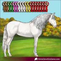 Horse Color:White Spotted Gold Cream Champagne Pearl Dun Blanket