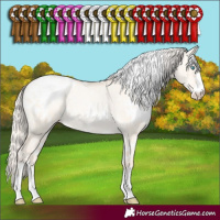 Horse Color:White Spotted Gold Cream Champagne Pearl Dun Blanket 