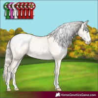 Horse Color:White Spotted Gold Cream Champagne Pearl Dun Appaloosa 