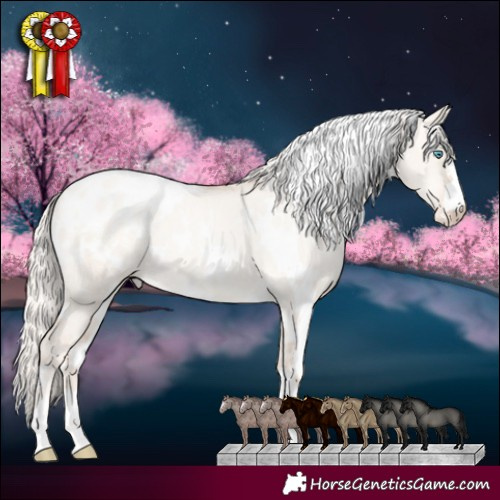 Horse Color:White Spotted Gold Cream Champagne Pearl Dun Appaloosa 
