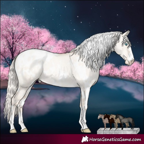 Horse Color:White Spotted Gold Cream Champagne Pearl Dun Appaloosa 