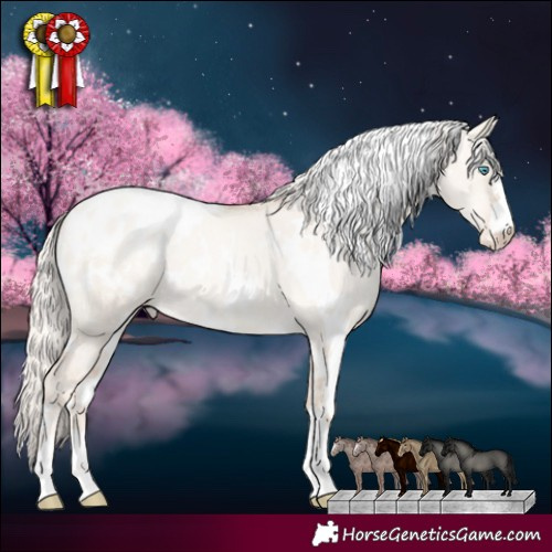 Horse Color:White Spotted Gold Cream Champagne Pearl Dun Appaloosa