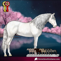Horse Color:White Spotted Gold Cream Champagne Pearl Dun Appaloosa