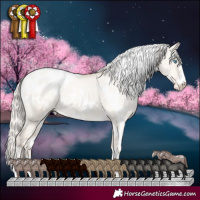 Horse Color:White Spotted Gold Cream Champagne Pearl Dun Blanket