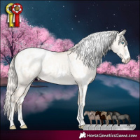 Horse Color:White Spotted Gold Cream Champagne Pearl Dun Appaloosa 