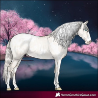 Horse Color:White Spotted Gold Cream Champagne Pearl Dun Appaloosa 