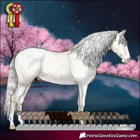 Horse Color:White Spotted Gold Cream Champagne Pearl Dun Blanket 