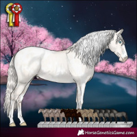 Horse Color:White Spotted Gold Cream Champagne Pearl Dun Appaloosa 