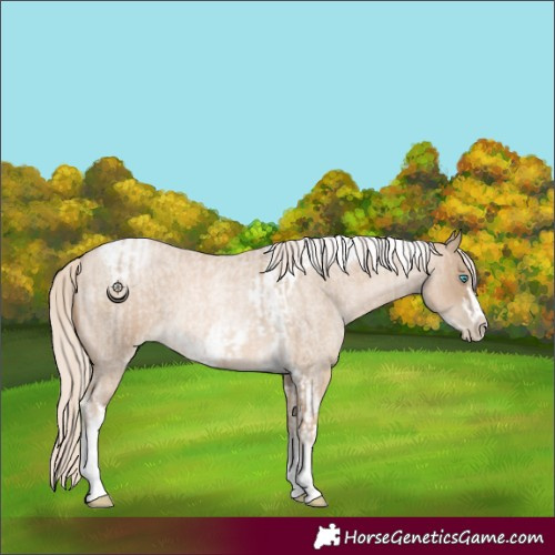 Horse Color:Chocolate Palomino Roan Pearl Tobiano Frame  and Liver Red Roan Snowdrop Pearl Tobiano Frame 