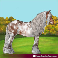 Horse Color:White Spotted Silver Brown Ice Varnish