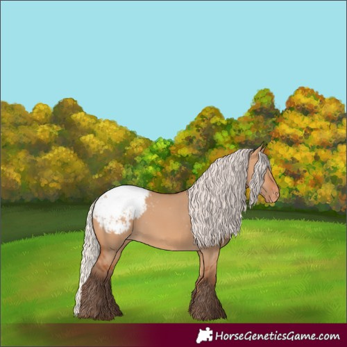 Horse Color:Silver Bay Dun Snowcap