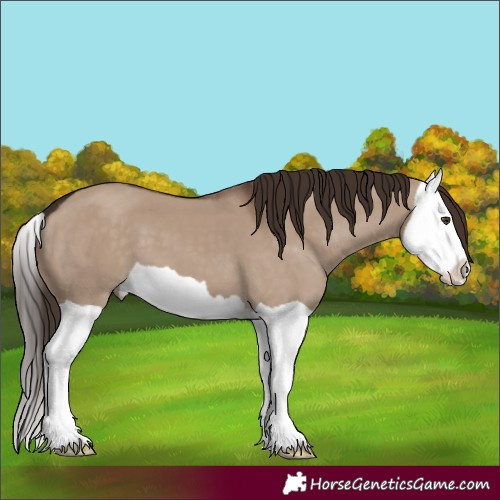 Horse Color:Liver Red Dun Splash 