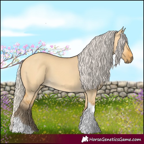 Horse Color:Silver Buckskin Dun Tobiano 