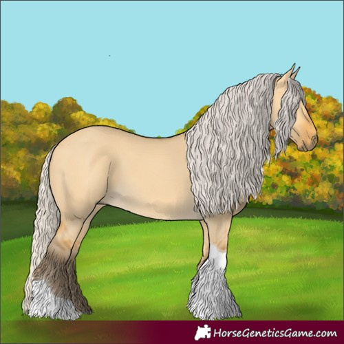 Horse Color:Silver Buckskin Dun Tobiano 
