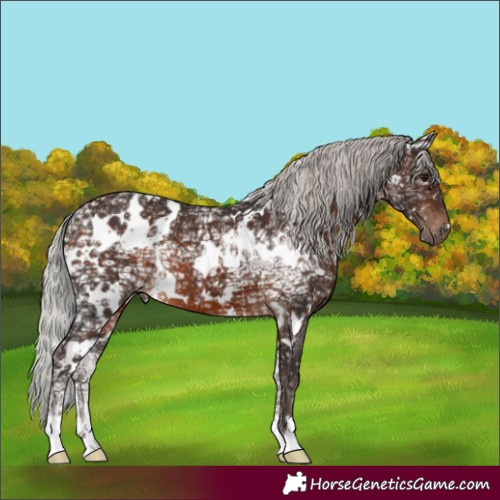 Horse Color:White Spotted Silver Brown Ice