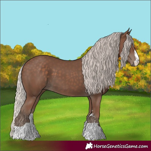 Horse Color:Silver Black 