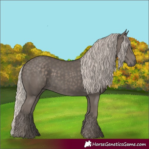 Horse Color:Silver Black 