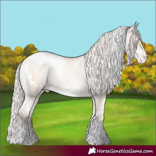 Horse Color:White Spotted Gold Cream Champagne Pearl Dun Appaloosa 