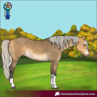 Horse Color:Silver Buckskin Dun 