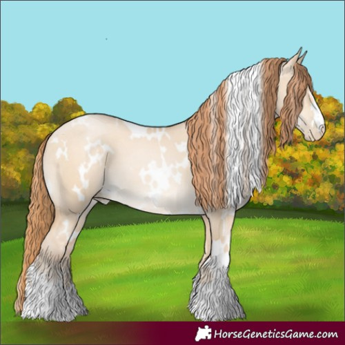 Horse Color:White Spotted Buckskin Pearl Dun 