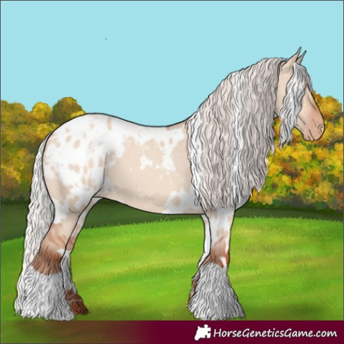 Horse Color:White Spotted Silver Sable Champagne Dun Appaloosa 