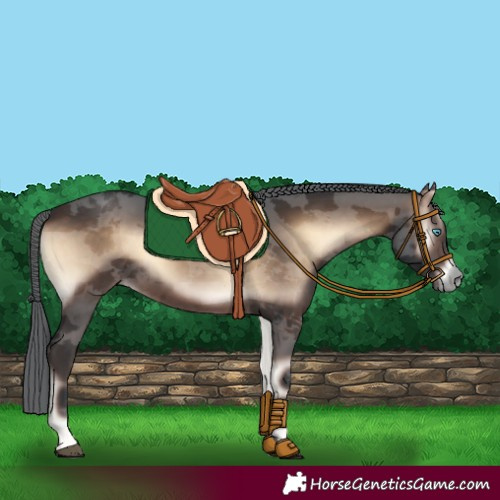 Horse Color:Bay Onyx Merle Rabicano 