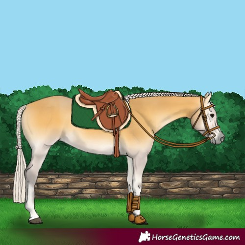 Horse Color:Silver Buckskin Onyx 