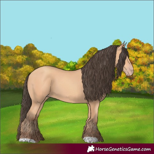 Horse Color:Amber Champagne 