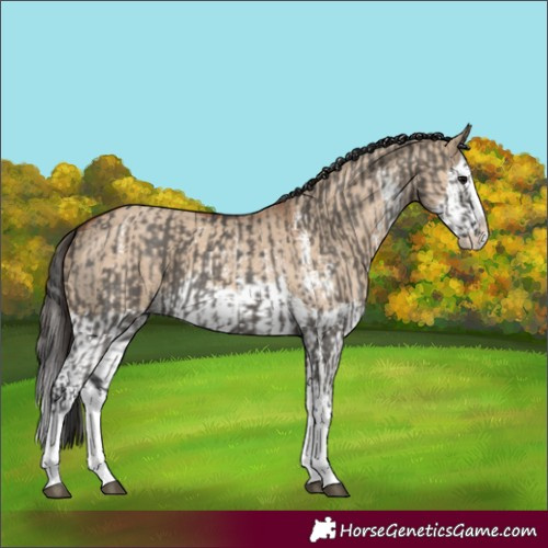Horse Color:Grullo Sabino Splash  and Bay Dun Sabino Splash 