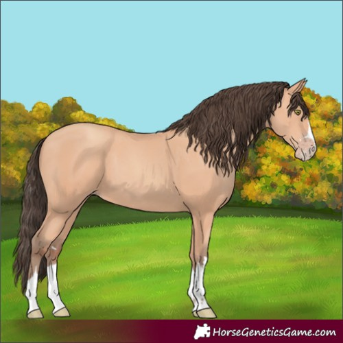 Horse Color:Amber Champagne 