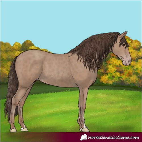 Horse Color:Classic Champagne 