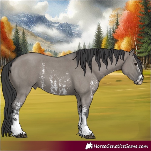 Horse Color:Grullo Sabino 