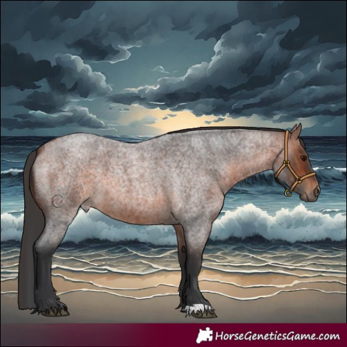 Horse Color:Brown Roan 