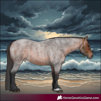 Horse Color:Brown Roan 