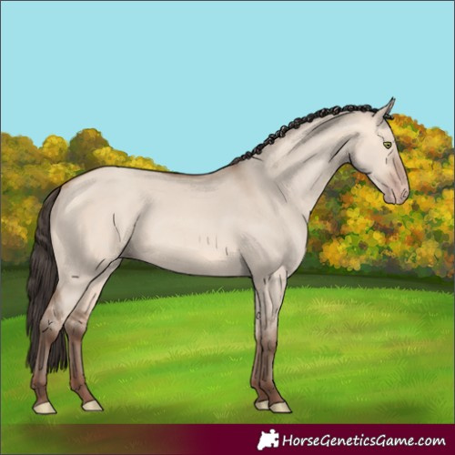 Horse Color:Amber Champagne Dun 