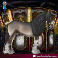 Horse Color:Blue Onyx 