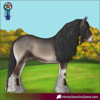 Horse Color:Blue Onyx 