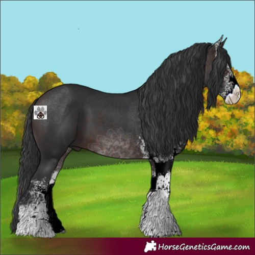 Horse Color:Brown Sabino