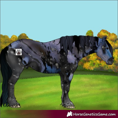 Horse Color:ERROR: UNKNOWN ANOMALY