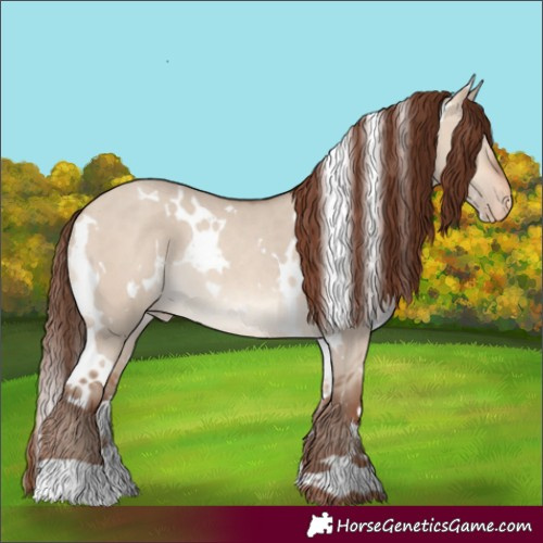 Horse Color:White Spotted Amber Champagne Dun Appaloosa Rabicano 
