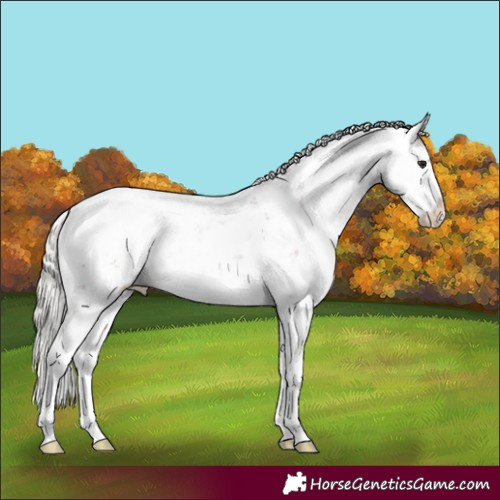Horse Color:Silver Brown Sabino 
