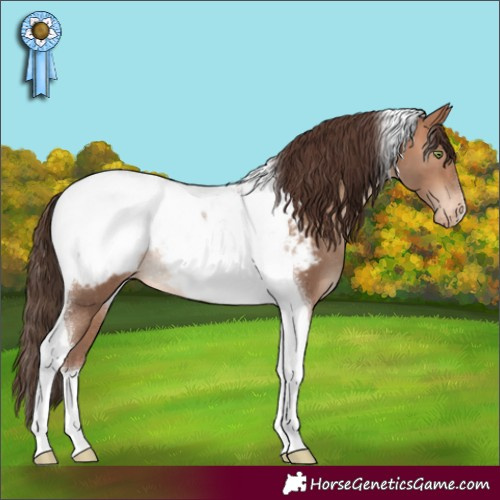 Horse Color:Sable Champagne Tobiano Appaloosa Rabicano 